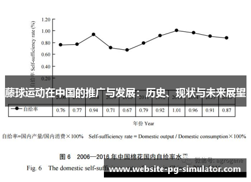 藤球运动在中国的推广与发展：历史、现状与未来展望
