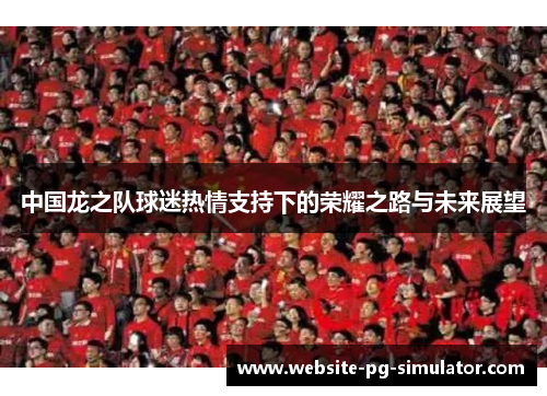 中国龙之队球迷热情支持下的荣耀之路与未来展望