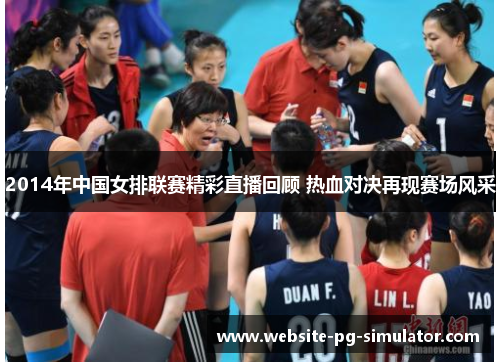 2014年中国女排联赛精彩直播回顾 热血对决再现赛场风采
